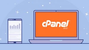 cPanel and Plesk 2022 Price Increases